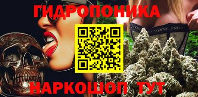 крисы Лесосибирск