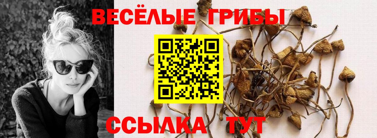 Галлюциногенные грибы прущие грибы  Вход с VPN  Гудермес 